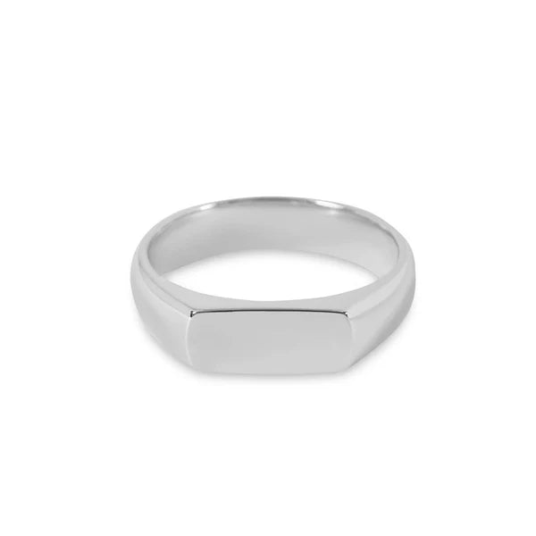 Titanium Zirconium Men's Ring