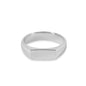 Titanium Zirconium Men's Ring